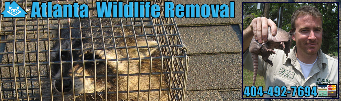Atlanta Wildlife and Animal Removal